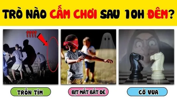 game cờ vua - Vị vua dũng cảm